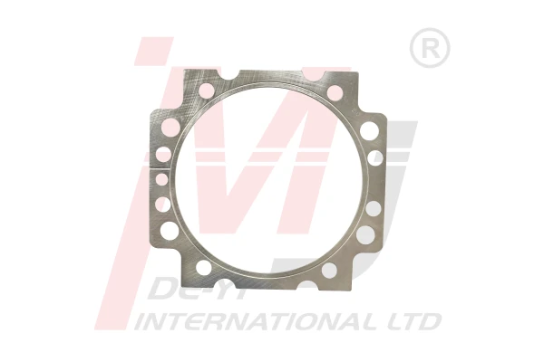 5550161420 Cylinder Head Gasket