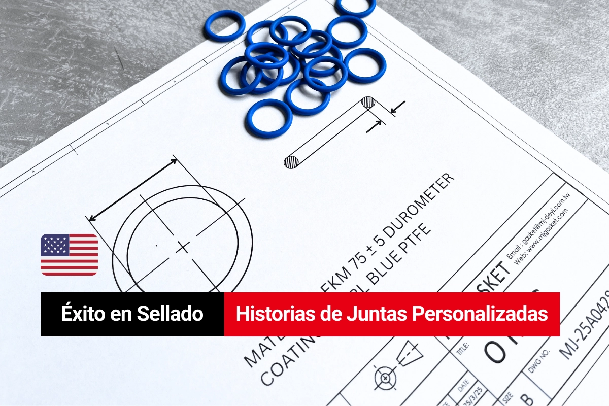Soluciones Personalizadas de O-ring con Recubrimiento de Teflón