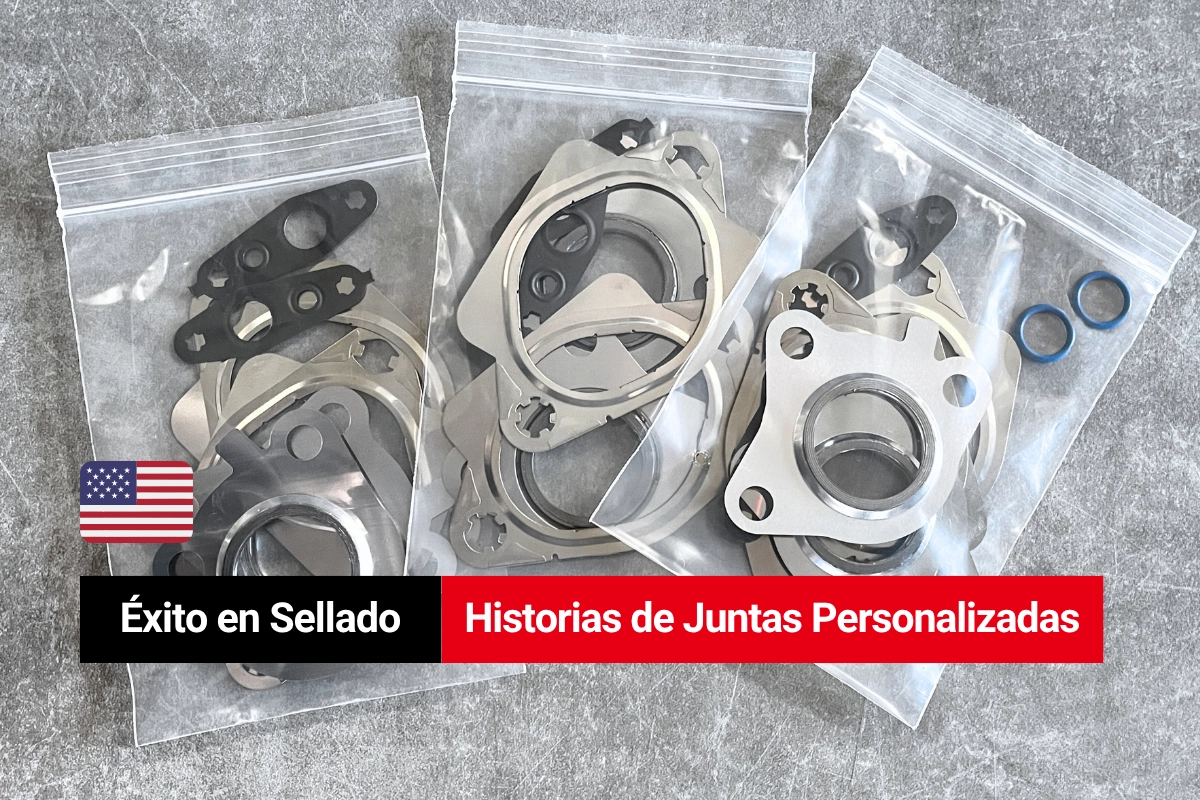 Kit de Empaques Personalizado para Ford 3.5 EcoBoost Turbo